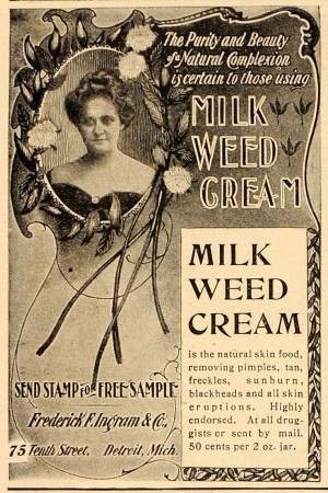 Milk weed cream